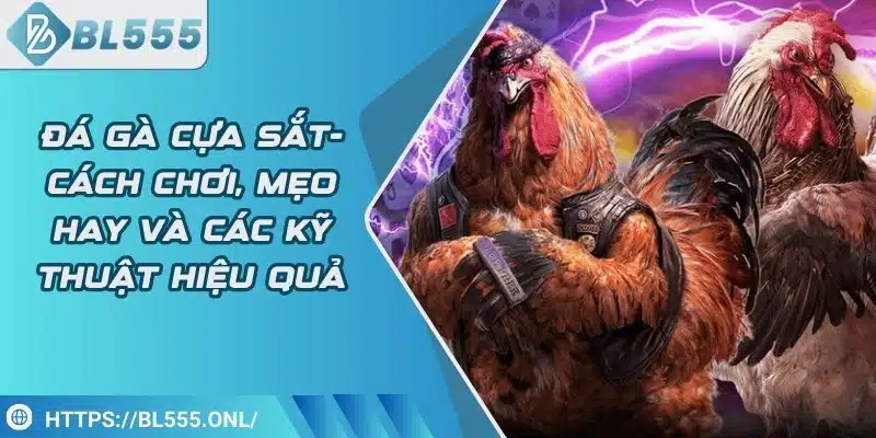 Đá gà cựa sắt - Cách chơi hay và các kỹ thuật hiệu quả 1 Đá gà cựa sắt - Cách chơi hay và các kỹ thuật hiệu quả